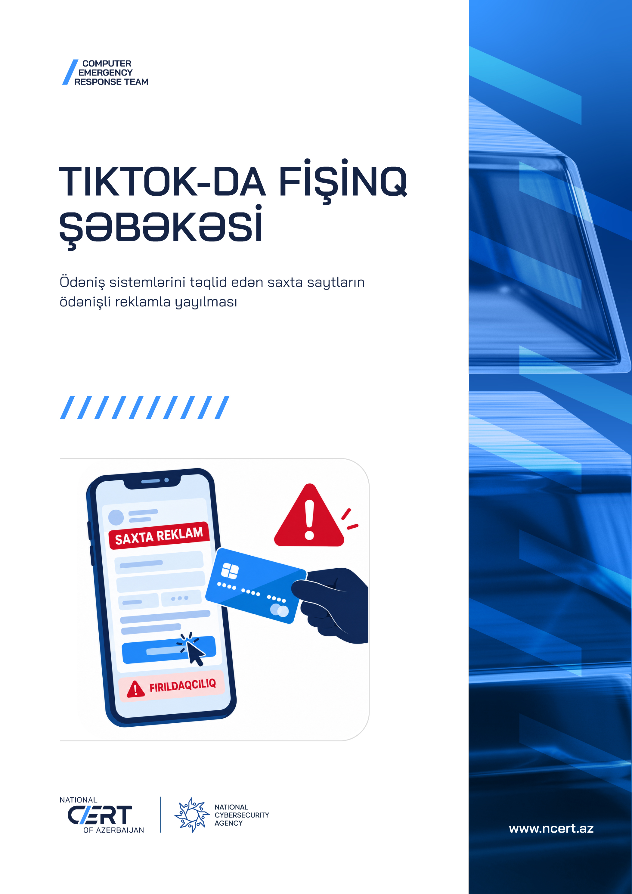 Ödəniş və bank brendlərini təqlid edən fişinq şəbəkəsi aşkarlanıb.
